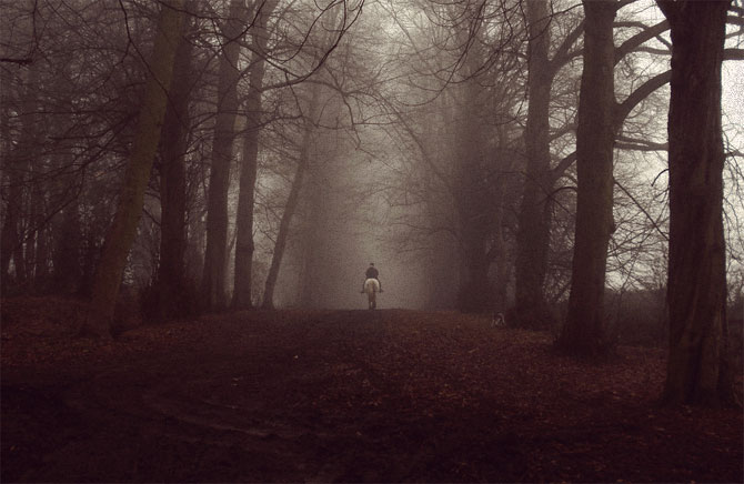 Одиночество и туман в лесу.